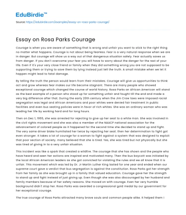 Essay on Rosa Parks Courage