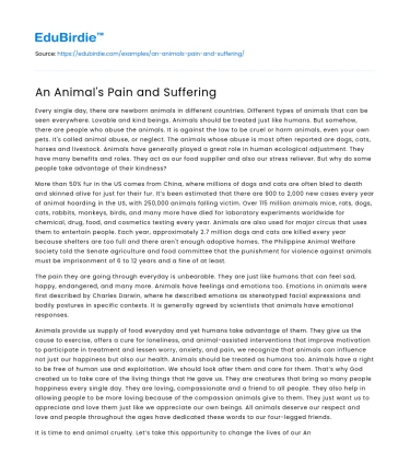 An Animal’s Pain and Suffering