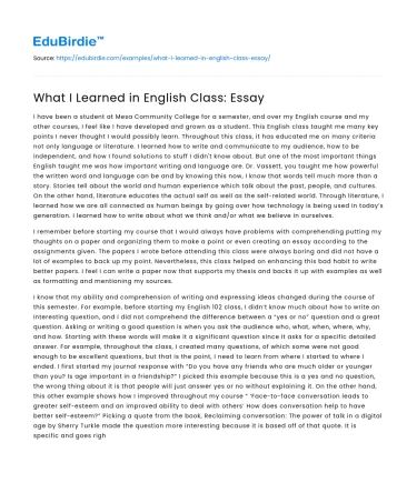 What I Learned in English Class: Essay