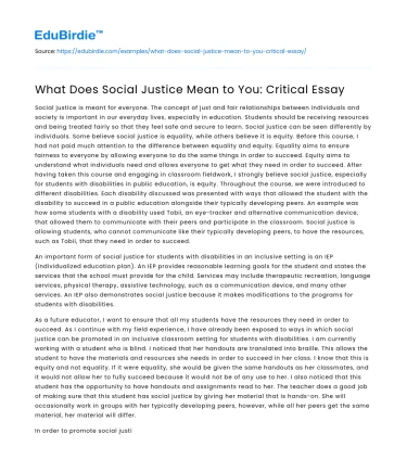What Does Social Justice Mean to You: Critical Essay