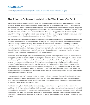 The Effects Of Lower Limb Muscle Weakness On Gait