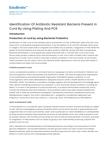 Identifying Antibiotic Resistant Bacteria in Curd with Plating & PCR