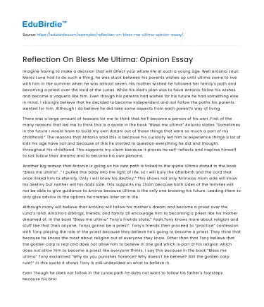 Cultural Identity in “Bless Me, Ultima”