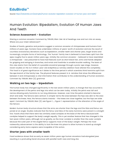 Human Evolution: Bipedalism and Dentition