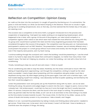 Reflection on Competition: Opinion Essay