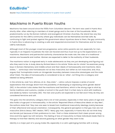 Machismo In Puerto Rican Youths