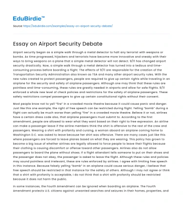 Essay on Airport Security Debate
