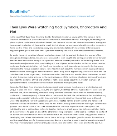 Their Eyes Were Watching God: Symbols, Characters And Plot