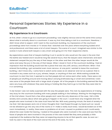 Personal Experiences Stories: My Experience in a Courtroom
