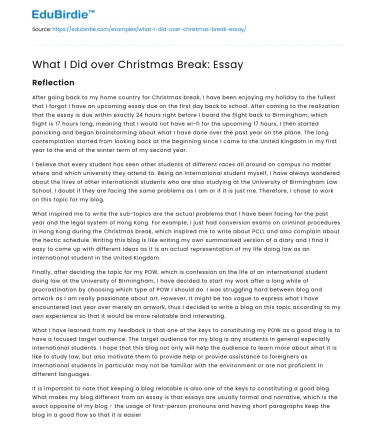 What I Did over Christmas Break: Essay