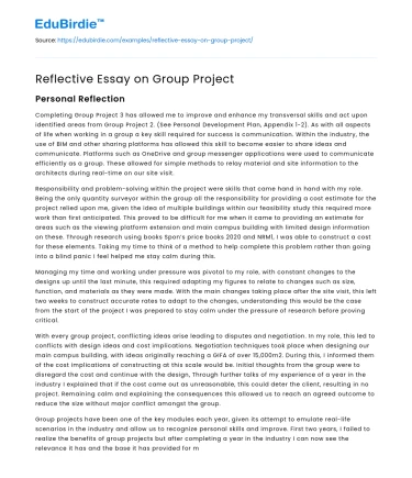 Reflective Essay on Group Project