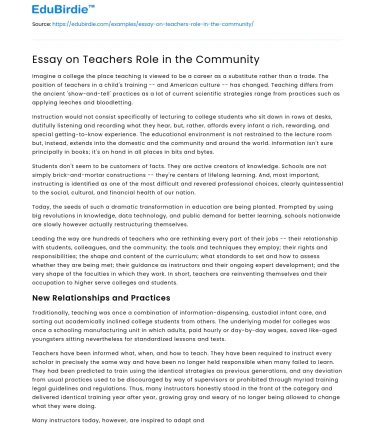 Essay on Teachers Role in the Community