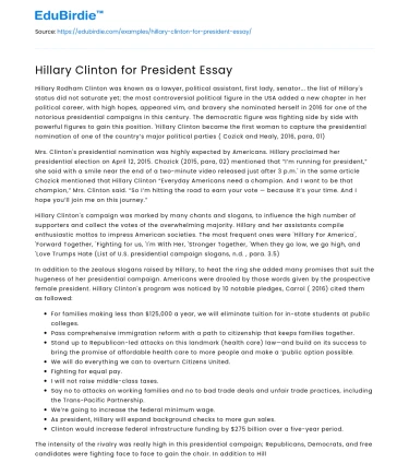 Hillary Clinton for President Essay