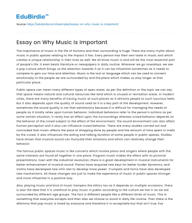 Essay on Why Music Is Important