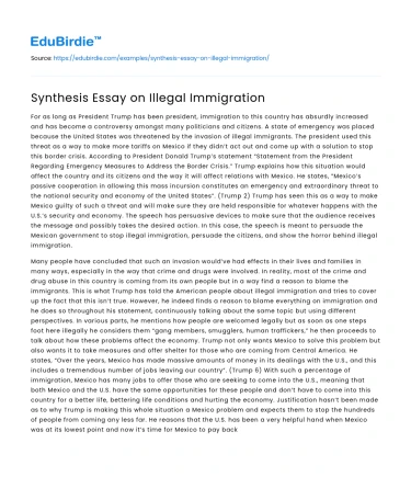 Synthesis Essay on Illegal Immigration