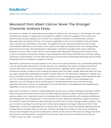 Meursault from ‘The Stranger’: Character Analysis Essay