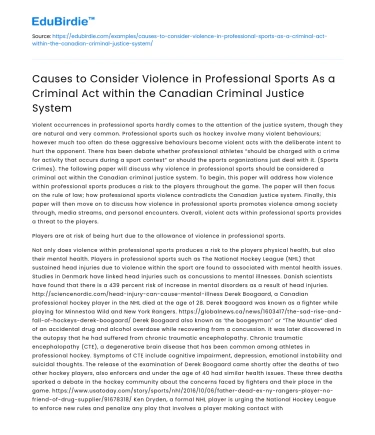 Violence in Pro Sports as Criminal Act in Canadian Justice System
