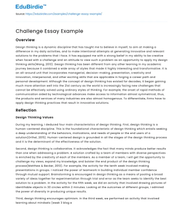Challenge Essay Example
