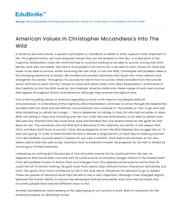 American Values In Christopher Mccandless’s Into The Wild