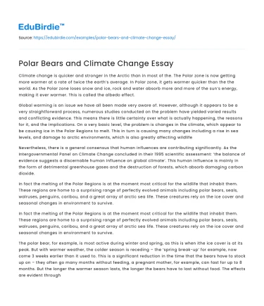 Polar Bears and Climate Change Essay