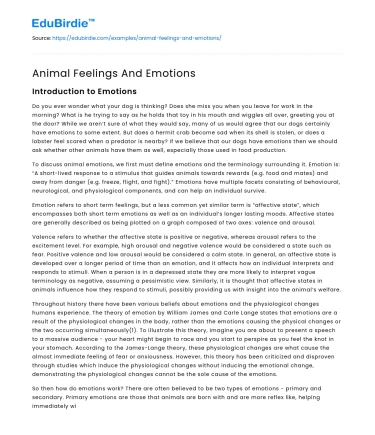 Animal Feelings And Emotions