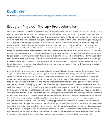 Essay on Physical Therapy Professionalism