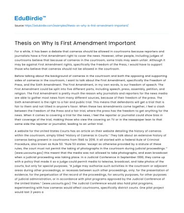 Thesis on Why Is First Amendment Important