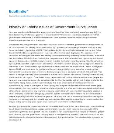 Privacy or Safety: Issues of Government Surveillance
