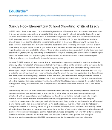 Sandy Hook Elementary School Shooting: Critical Essay