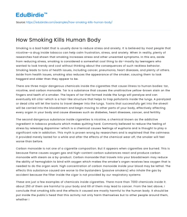 How Smoking Kills Human Body