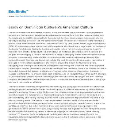 Essay on Dominican Culture Vs American Culture