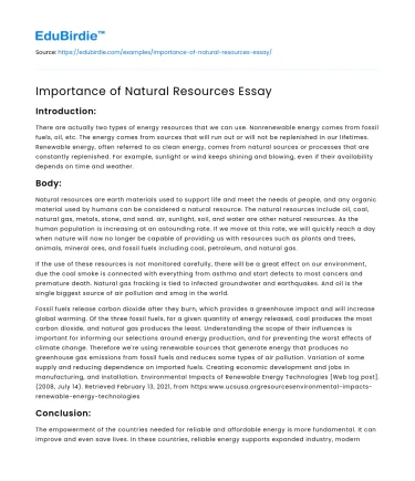 Importance of Natural Resources Essay