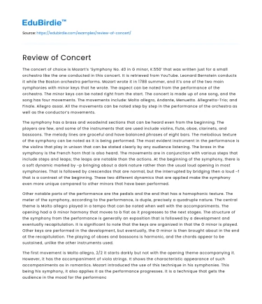 The Essence of Live Performances: A Concert Review