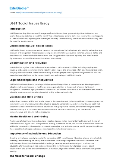 LGBT Social Issues Essay