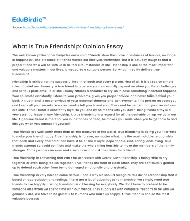 What Is True Friendship: Opinion Essay