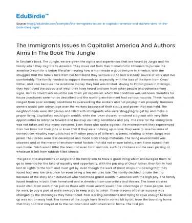 Immigrants Issues & Authors Aims in The Jungle