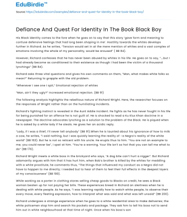 Defiance And Quest For Identity In The Book Black Boy