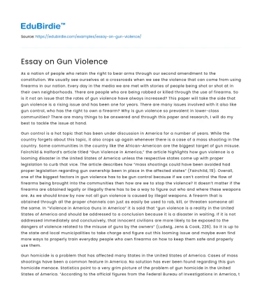 Essay on Gun Violence