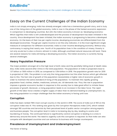 Essay on the Current Challenges of the Indian Economy
