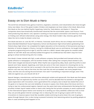 Elon Musk: A Modern-Day Hero or Not?