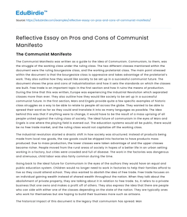 Reflective Essay on Pros and Cons of Communist Manifesto