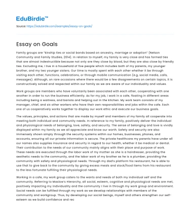 Essay on Goals