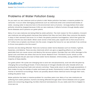 Problems of Water Pollution Essay