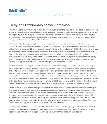 Essay on Stewardship of the Profession