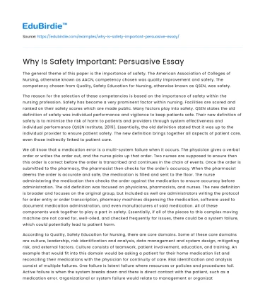 Why Is Safety Important: Persuasive Essay