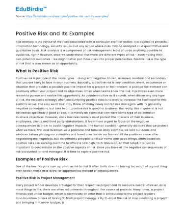 Positive Risk and Its Examples