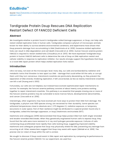 Tardigrade Protein Dsup Rescues FANCD2 DNA Replication Defect