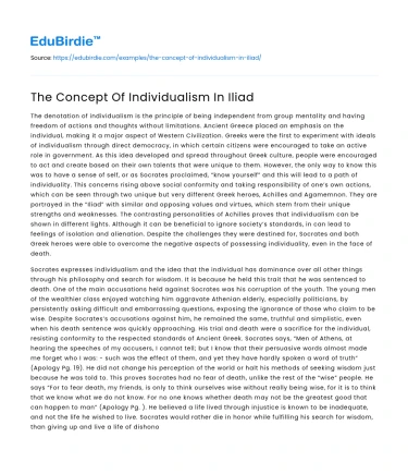 The Concept Of Individualism In Iliad