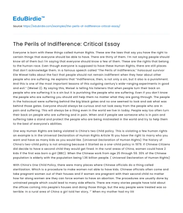 The Perils of Indifference: Critical Essay