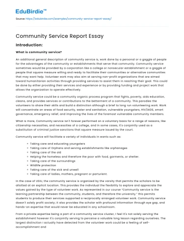 Community Service Report Essay